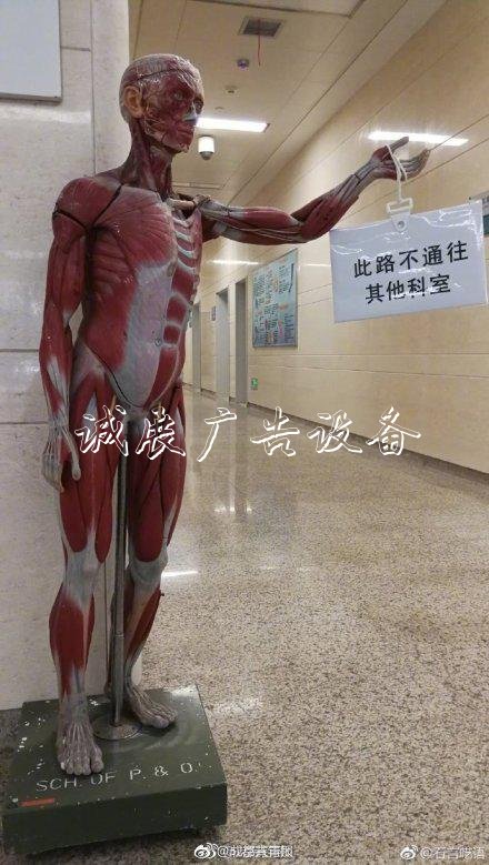 醫(yī)院拿“扒皮人體”當(dāng)路路牌牌 醫(yī)生:問路的人減少九成