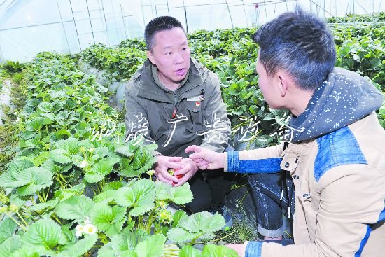 丹巴“網(wǎng)紅村”成名記廣告垃圾箱：新媒體搭臺(tái)全域旅游唱戲