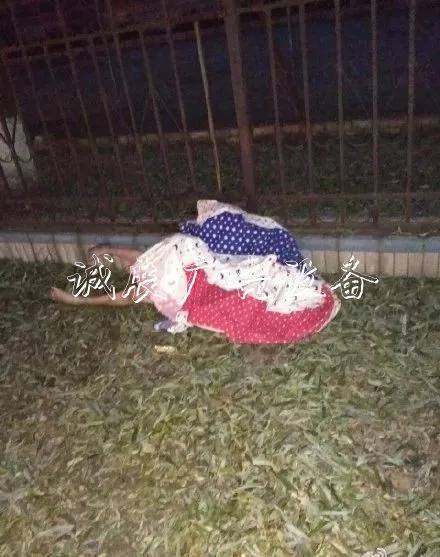 嚇人！這是什么垃圾？打文化宣傳欄開垃圾箱后差點(diǎn)兒魂兒也沒了