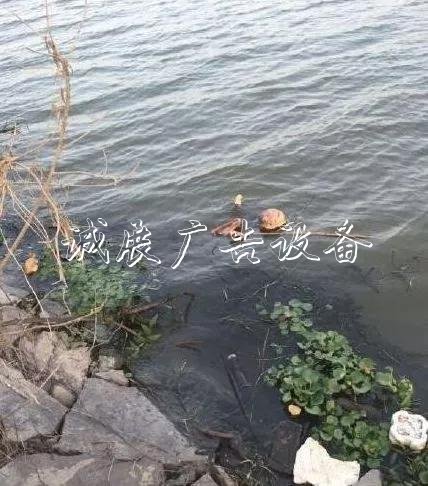 嚇人！這是什么垃圾？打文化宣傳欄開垃圾箱后差點(diǎn)兒魂兒也沒了