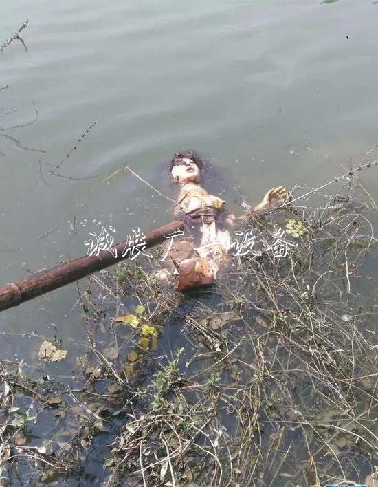 嚇人！這是什么垃圾？打文化宣傳欄開垃圾箱后差點(diǎn)兒魂兒也沒了