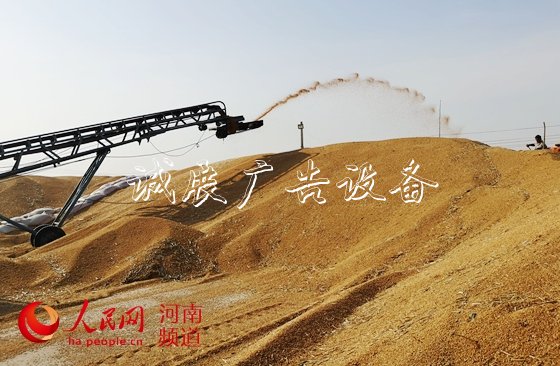 讓"中國(guó)碗"多盛"河南糧"　　8600萬(wàn)畝小麥顆粒歸倉(cāng)，今年又是一個(gè)豐收年！近年來(lái)，河南糧食連年豐收，總產(chǎn)量穩(wěn)定在1300億斤左右。全國(guó)1/10的糧食、超過(guò)1/4的小麥均產(chǎn)自這里，“糧倉(cāng)”實(shí)至名歸?！驹敿?xì)】
